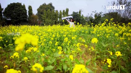 Kesi Ye Paheli Episode 5 Urdu1