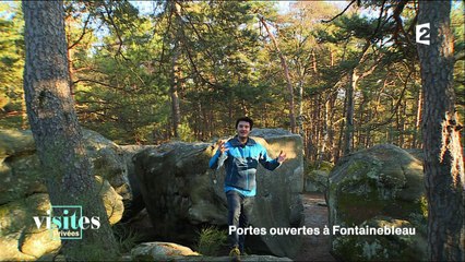 La forêt de Fontainebleau - Visites privées