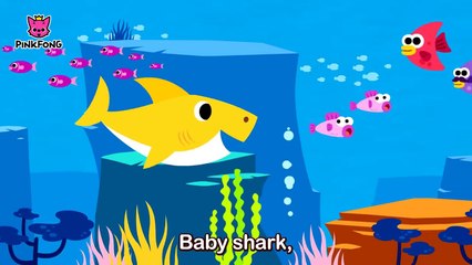 Baby Shark Dance | Sing and Dance! | Animal Songs | PINKFONG Songs for Children