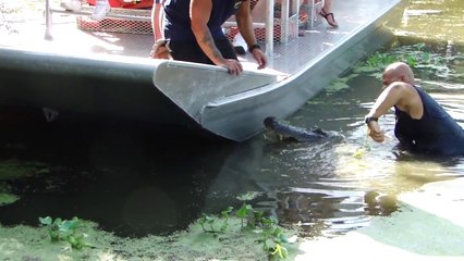 Ce guide plonge dans l'eau avec un crocodile géant !