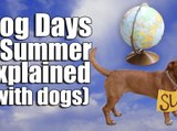Dog Days of Summer Explained (with dogs)