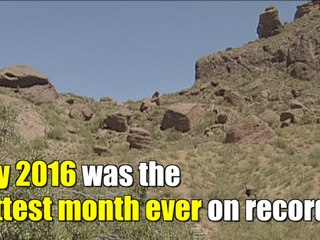 July 2016 was the hottest month ever