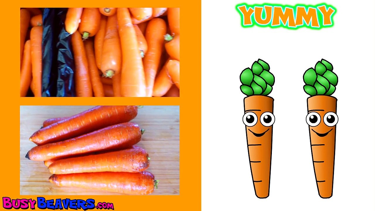 Kids 1 Hour TV Show | Busy Beavers BBTV S1 E5 & E6 | Kindergarten Kids Learning Video