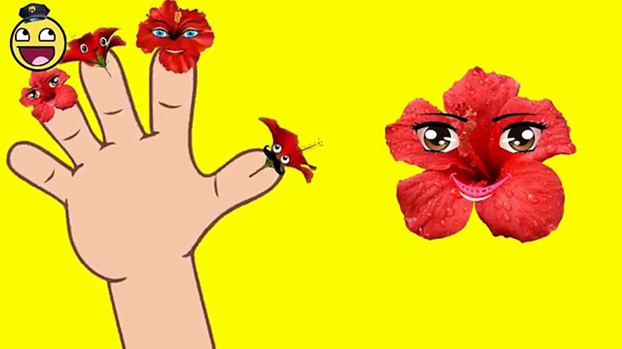 Finger Family For Children Flower Cartoon | Funny Flower Finger Family Nursery Rhymes