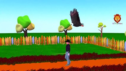 Курица Утка страус пингвин и орел мультфильмы пение палец Семья Дети питомник рифмы