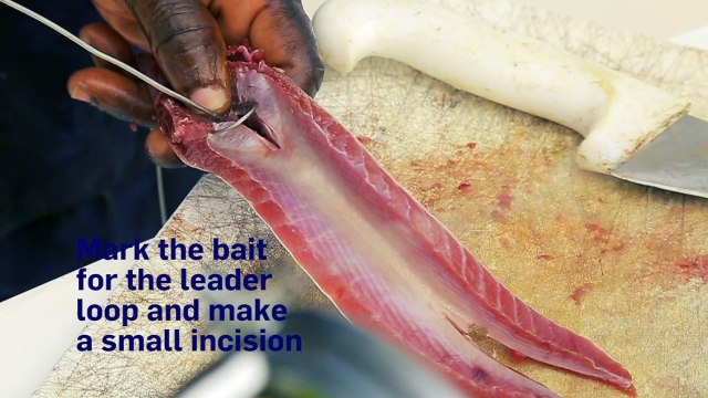 How to Rig a Bonito Strip Bait