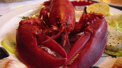China is Obsessed with American Lobster