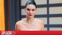 Kendall Jenner Fired Her Security Guard