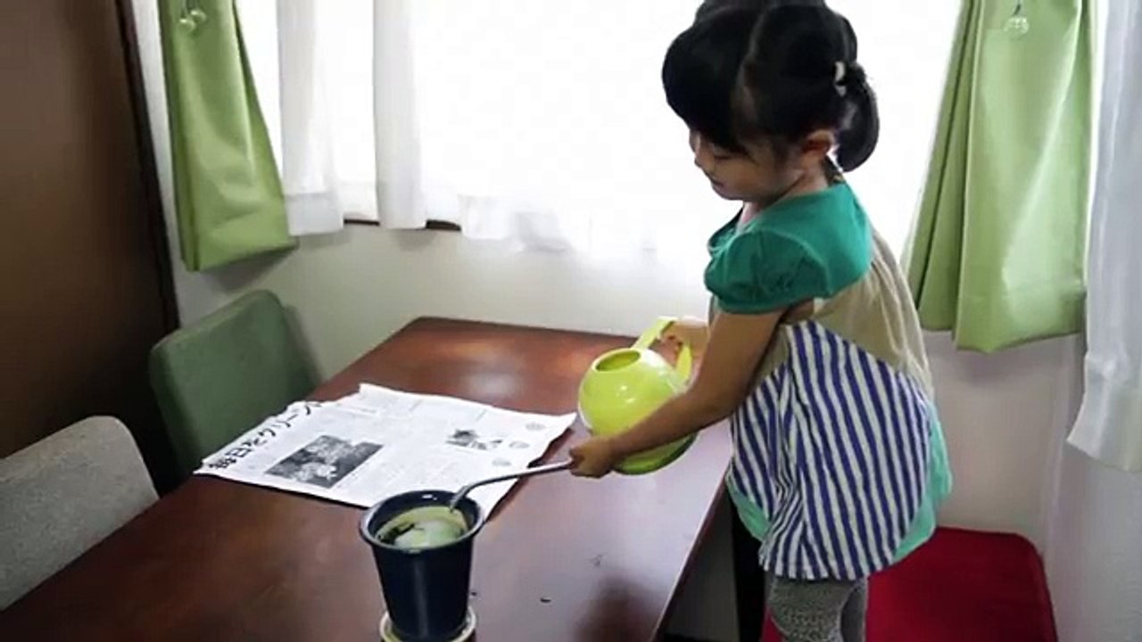 Mainichi Shimbun : le journal japonais que vous pouvez planter dans la terre pour obtenir de jolies fleurs !