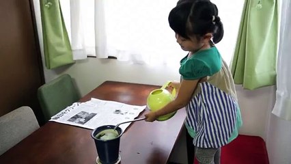 Mainichi Shimbun : le journal japonais que vous pouvez planter dans la terre pour obtenir de jolies fleurs !