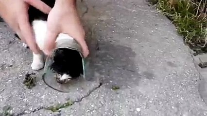 Allah'ım siz ve sizin gibi merhametli olanlardan razı olsun.