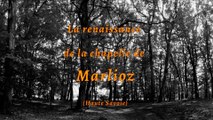 La renaissance  de la chapelle de  Marlioz (Haute Savoie)
