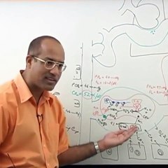 my spellings are poor