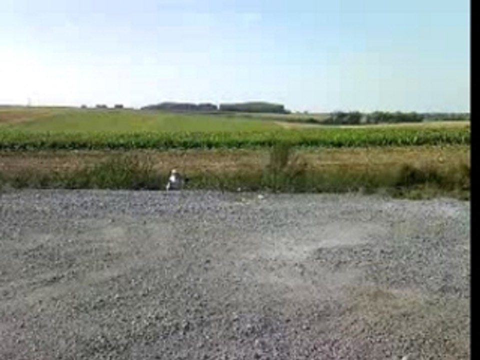 kxr 250 Delire avec son parrain