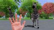 Funny Animation | Wild Animals Elephant Horse Zebra Pig cartoon Finger Family 3d Animation
