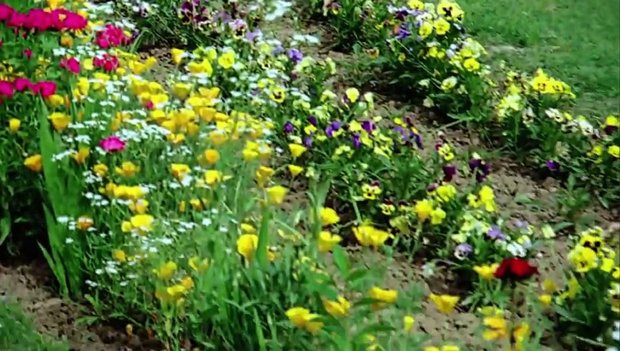 Main Tera Naam Loonga - Amitabh Bachchan - Bemisal Movie Songs - Kishore Kumar Hits