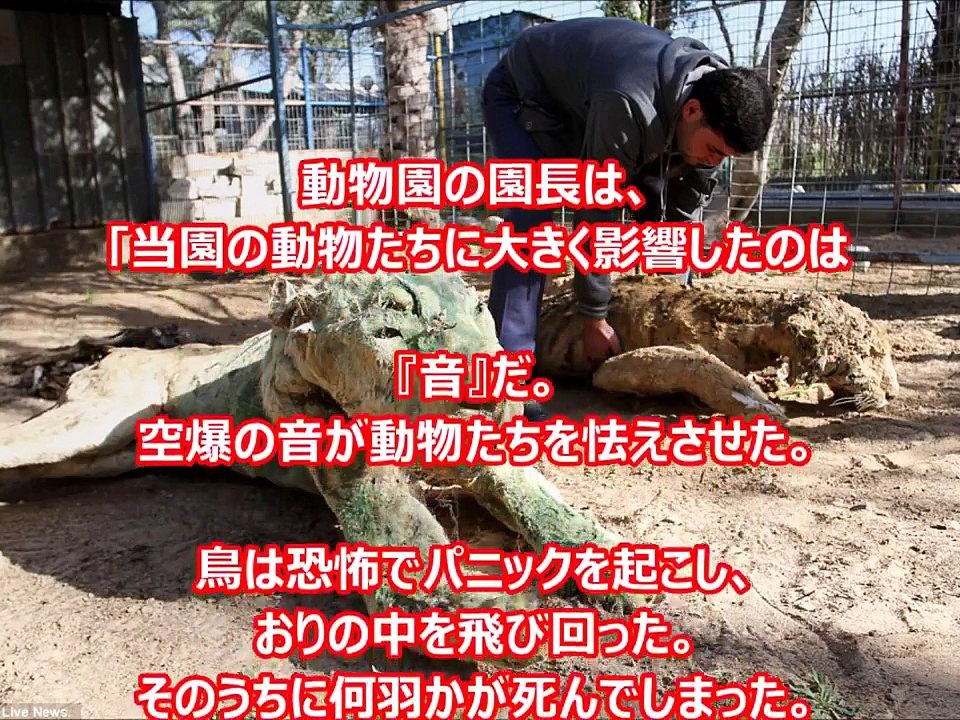 【閲覧注意】動物園を2年間も放置し続けた結果がヤバすぎる・・・ 衝撃の姿