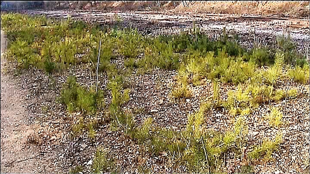 Zu Besuch im Köln Königsforst