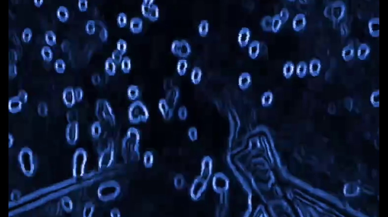 ORBS Swarm In Barn
