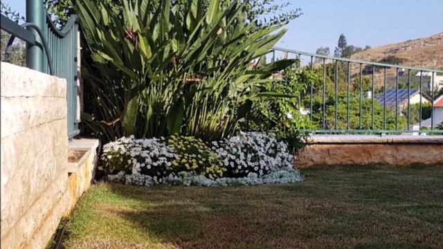 תכנון גינות פרטיות - גני עד