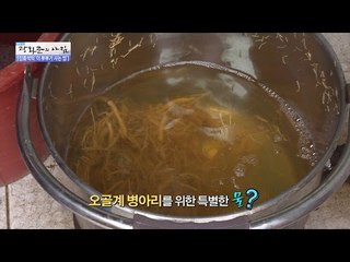 오골계를 위한 특별한 물이 있다?! [광화문의 아침] 360회 20161117