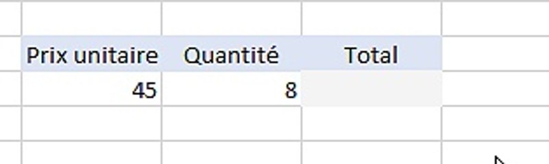 Excel-Saisie formule