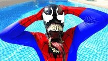 Spiderman BECOMES Venom in The POOL! w/ Hulk & Joker Superheroes in Real Life Fun