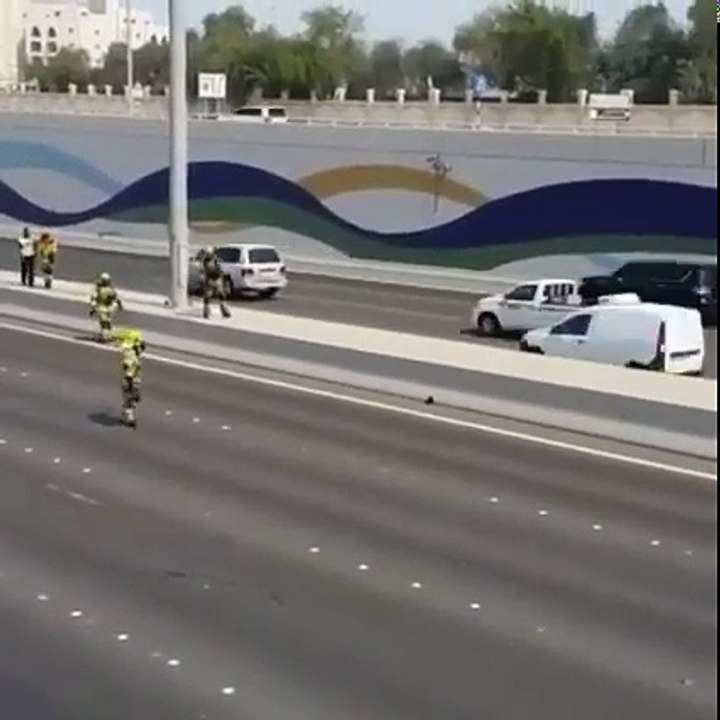 Coincé sur l’autoroute, cet adorable chaton a été sauvé de justesse par les pompiers !