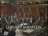 Haydn: Sinfonia Concertante Hob.I:105 / Bernstein Wiener Philharmoniker (1985 Movie Live)