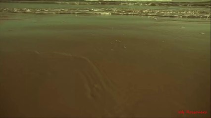 Delyno - Ether Party (DJ Junior CNYTFK Remix)