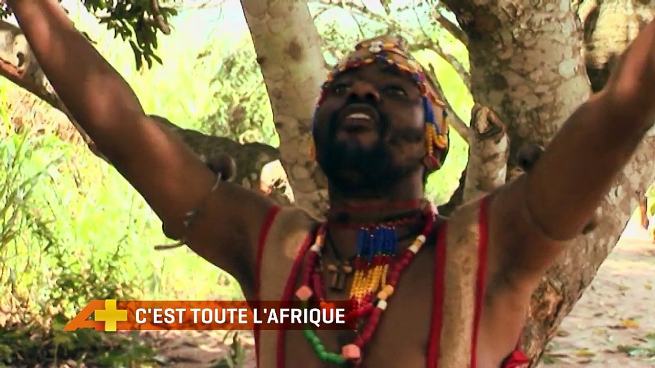 Chaîne A+ (Bouquet Africain Platinum) - Temps forts 2017