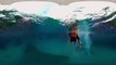 MythBusters  Shark Shipwreck 360 Video injected