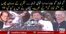 Loudly Go Nawaz Go Chanting During the Speech of Imran Khan (2)