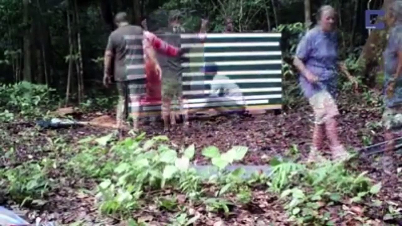 Funny Video In Forest || Animals Comedy