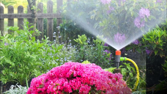 Francisco Landscape and Concrete - (801) 686-2200