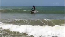 Cadela surfista encanta praianos em Marataízes
