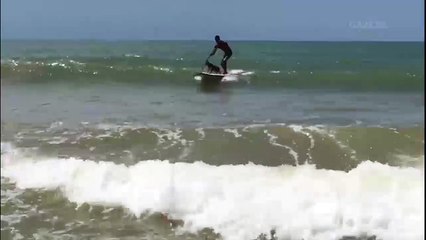 Cadela surfista encanta praianos em Marataízes