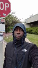 At the Fallen sakura flowers