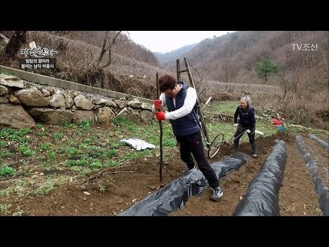자연인을 위해 소처럼 일하는 지상렬 [자연愛산다] 3회 20170425
