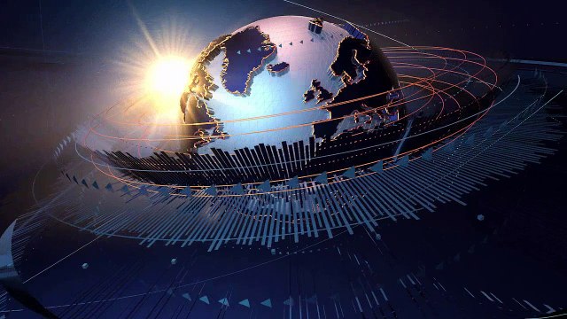 Killing Carpenter Ants | Universal Pest Control (386) 868-4557