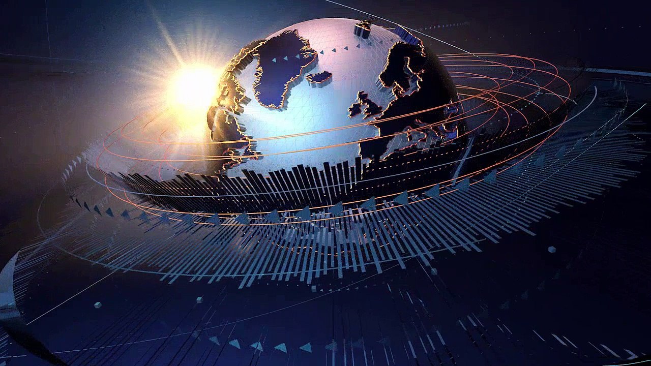 Killing Carpenter Ants | Universal Pest Control (386) 868-4557