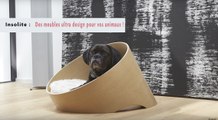 Insolite:  Des meubles ultra design pour vos animaux !