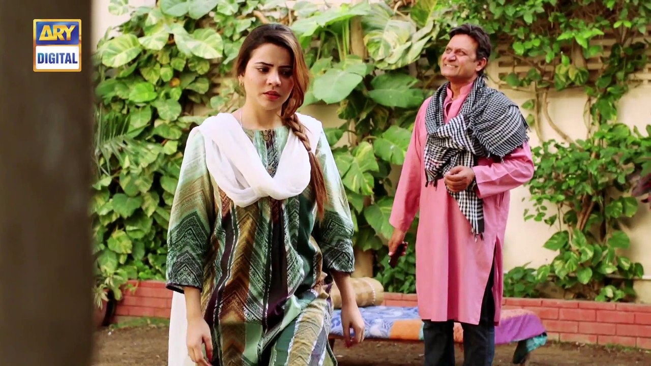 Watch Mein Mehru Hoon Episode 188 - on Ary Digital in High Quality 25th April 2017