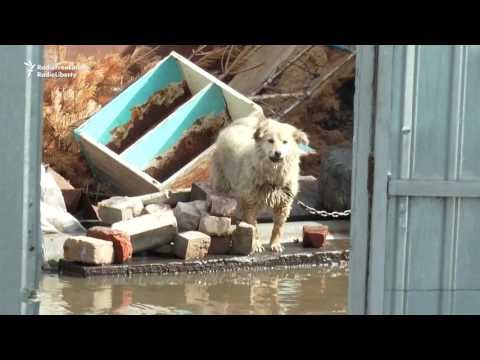 Severe Flooding Sparks Evacuations in Kazakh City of Petropavlovsk