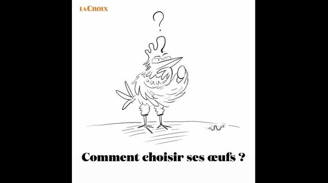 Comment choisir ses œufs ? | Le tour de la question
