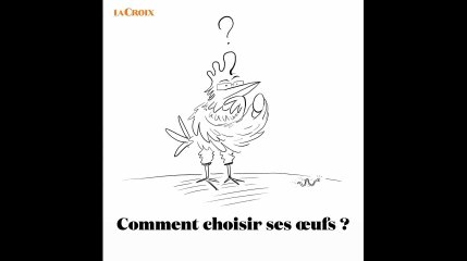 Comment choisir ses œufs ? | Le tour de la question