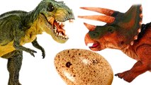 Dinosaurs - Cartoons for Children. Tyrannosaurus wanted to revenge for his eggs. Dinosaurs for kids