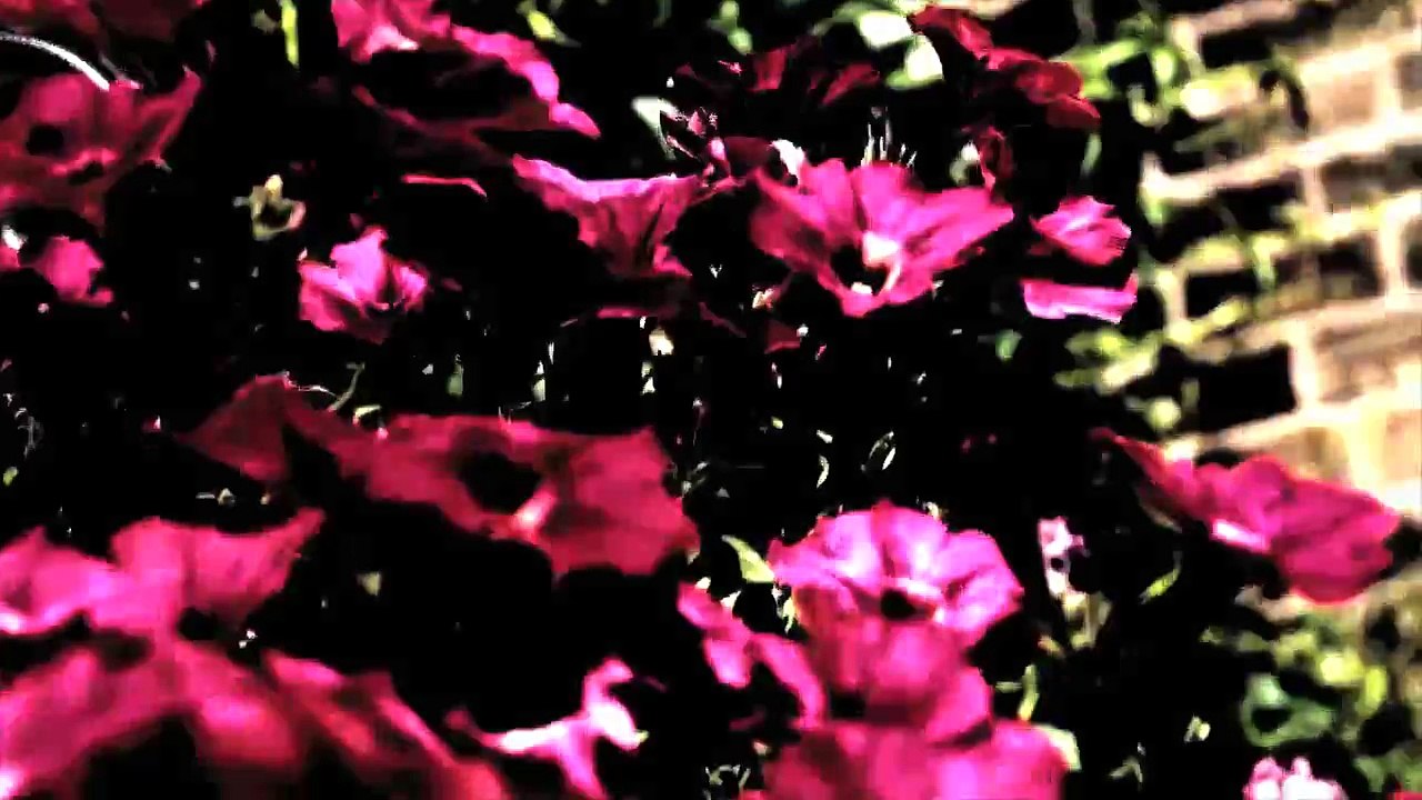 Timelapse : Zeitraffer - England Robin Hood´s Bay 2013 /Full Film/Complete Movie/Ganzer Film