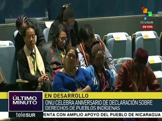 Pdte. boliviano: Indígenas y africanos compartimos la misma historia