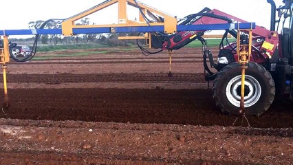Böyle ağaç dikme makinesi görmediniz
